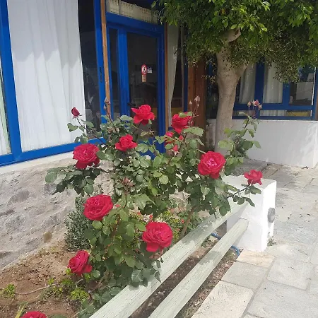 Hotel Isalos On The Livadi (Serifos)
