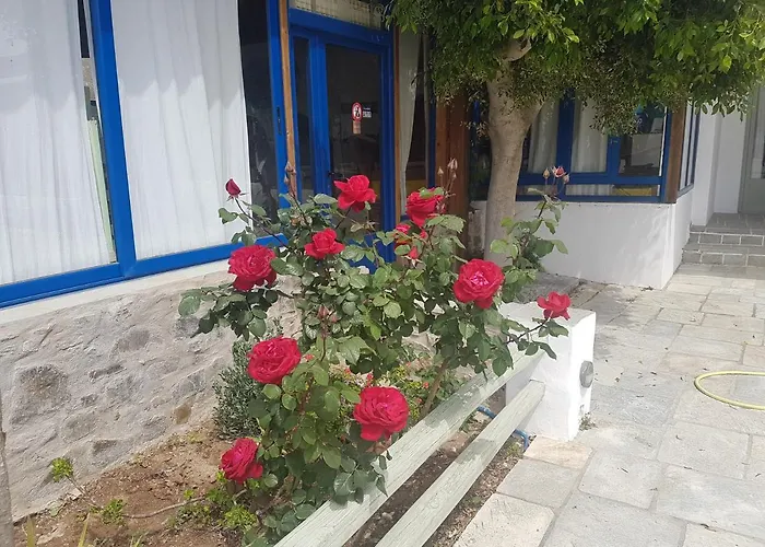 Hotell Isalos On The Livadi (Serifos)